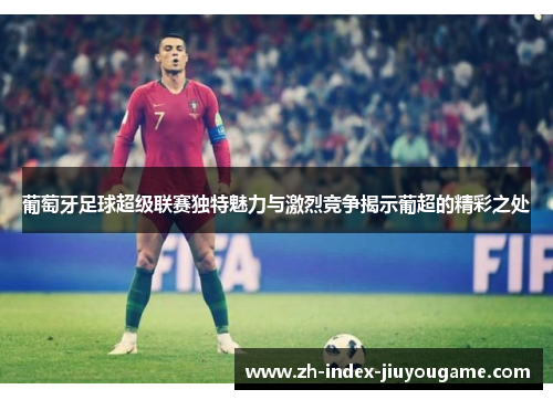 葡萄牙足球超级联赛独特魅力与激烈竞争揭示葡超的精彩之处